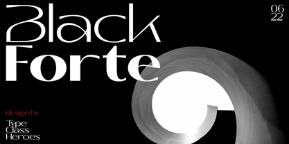 Black Forte Fuente Póster 1