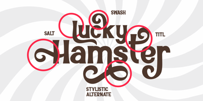 The Lucky Hamster Font Poster 8