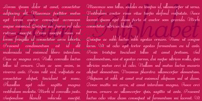 Reliant Font Poster 8