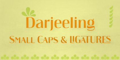 Darjeeling Font Poster 7