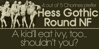 Hess Gothic Round NF Font Poster 1