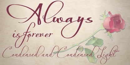 Always Font Poster 1