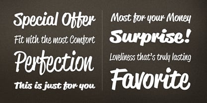 Reklame Script Font Poster 2