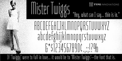 Mister Twiggs Font Poster 1