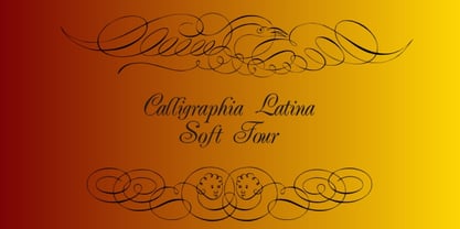 Calligraphia Latina Soft 4 Font Poster 5