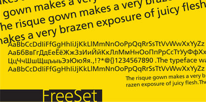 FreeSet Font Poster 1