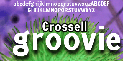 Crossell Font Poster 1
