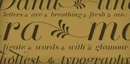 Breathe Font Poster 14