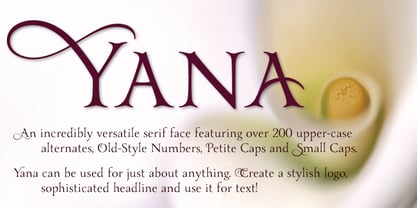 Yana Font Poster 9