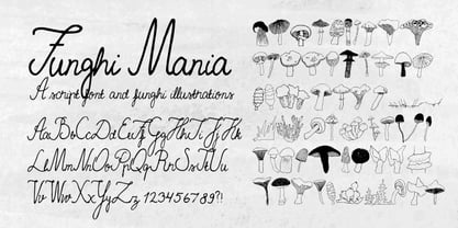 Funghi Mania Font Poster 2