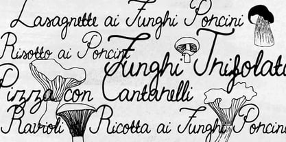 Funghi Mania Font Poster 3