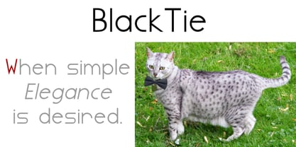 Blacktie Font Poster 1