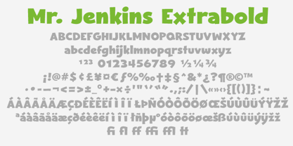 Mr. Jenkins Font Poster 4