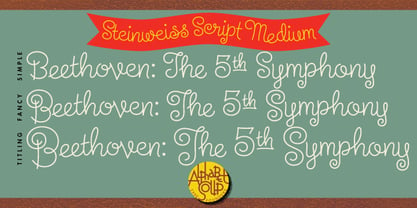 Steinweiss Script Font Poster 3