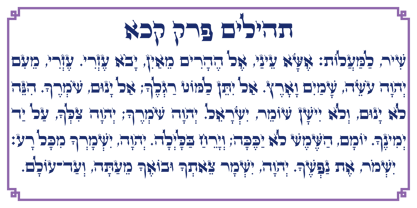 Hebrew Alter Rebbe of Liadi Font Poster 8