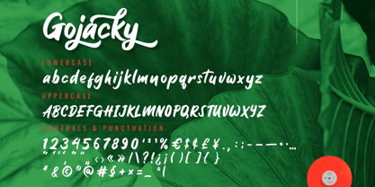 Gojacky Bold Script Font Fuente Póster 8