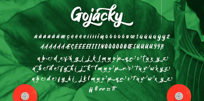 Gojacky Bold Script Font Fuente Póster 9