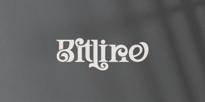 Bitline Font Poster 1
