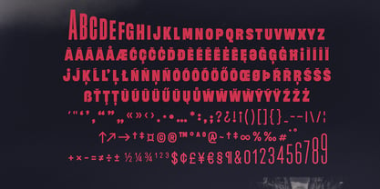 Flexible Font Poster 9