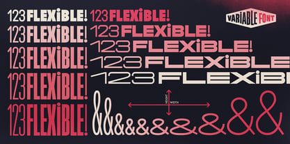 Flexible Fuente Póster 5