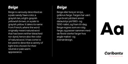 Caribantu Grotesque Font Poster 7