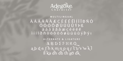 Adegoke Font Poster 9