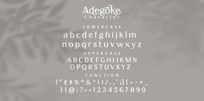 Adegoke Font Poster 8