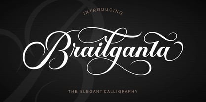 Brailganta Script Font Poster 1