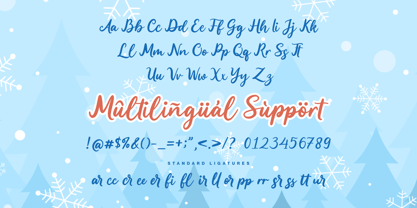 Guardian Snowing Font Poster 9