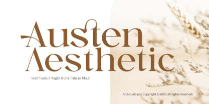 Austen Aesthetic Fuente Póster 1