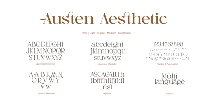 Austen Aesthetic Fuente Póster 11
