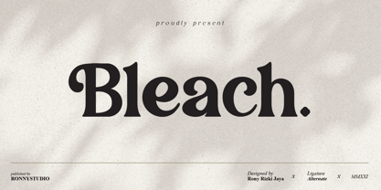 Bleach Font Poster 1