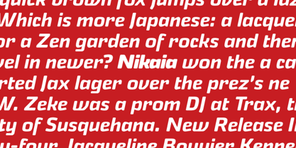 Nikaia Font Poster 1