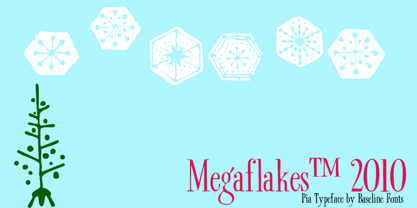 Megaflakes 2010 Font Poster 2