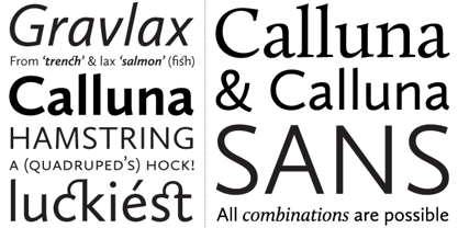 Calluna Sans Font Poster 3