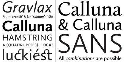 Calluna Sans Police Poster 3