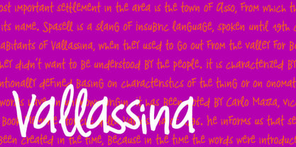 Vallassina Font Poster 1