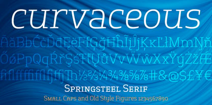 Springsteel Serif Fuente Póster 2