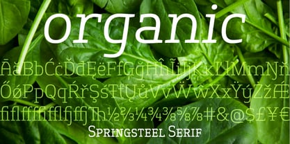 Springsteel Serif Fuente Póster 3