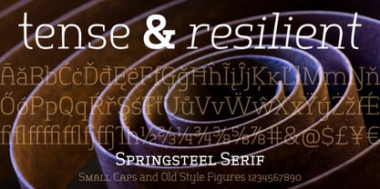 Springsteel Serif Fuente Póster 1