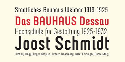 Neubau Grotesque Font Poster 2