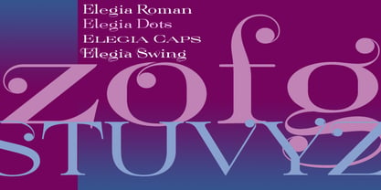 Elegia Font Poster 3