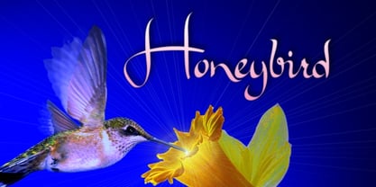 Honeybird Fuente Póster 1