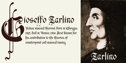 Zarlino Font Poster 5