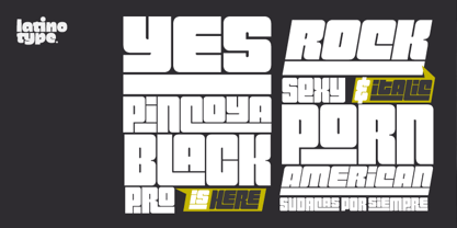 Pincoya Black Pro Font Poster 1
