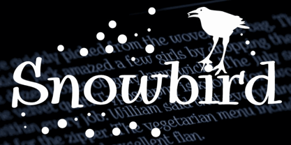 Snowbird Font Poster 2
