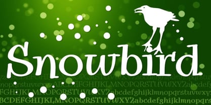 Snowbird Font Poster 1