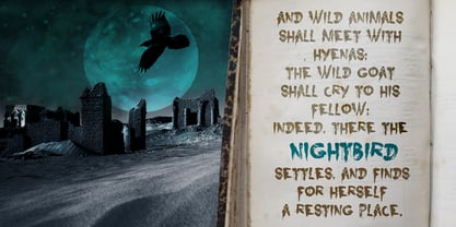 Nightbird Font Poster 1