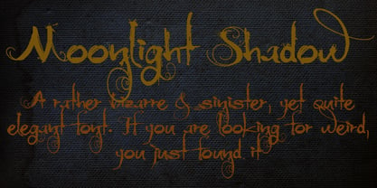 Moonlight Shadow Font Poster 1