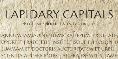 Lapidary Capitals Fuente Póster 1